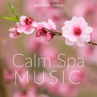 Mindfulness Zone - Spa Center