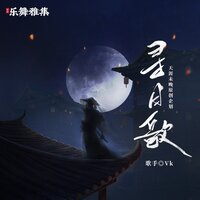 寻月歌 - 天涯未晚 & VK