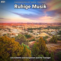 Ruhige Musik pt. 45 - Entspannungsmusik Viktoria Lobe & Schlafmusik & Entspannungsmusik