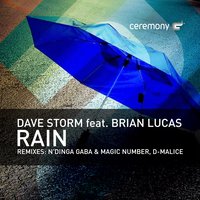 Rain - Dave Storm & Brian Lucas