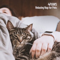 Pet Light Music - Dog Music & Cat Music & Pet Care Club