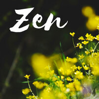 Deep Sleep Relaxation - Pure Massage Music