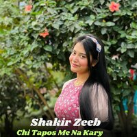 Chi Tapos Me Na Kary - Shakir Zeeb & Ali Khan