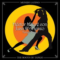 Enamorado - Hector Maure