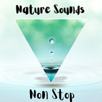 Dreaming Flute (with Forest Sound) - Nature Sounds & Music Library