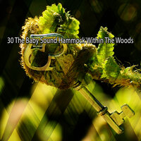 Прогулка в одиночестве - Nature Recordings