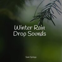 Lakeside, Waves, Lapping, Birds - The Relaxation Principle & Sons da Natureza & Baby Sleep Music