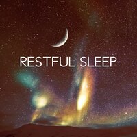 Meditation Before Sleep - Deep Sleep Maestro