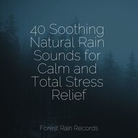 Large Bonfire - Sleep Makers Samples & Mother Earth Sounds & Chillout Lounge