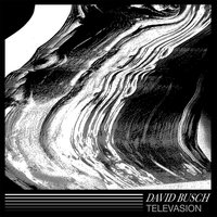 Weather Radar Is Invalid & So Are the Birds - David Busch