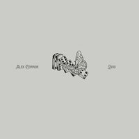 Domino - Alex Connor & Livio
