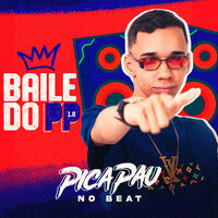 Tropa dos Cria - Picapau No Beat & Mc Flavinho