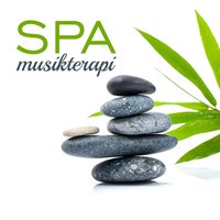 Läkande regn (Utomhus spa) - Naturliga Ljudterapi Masters