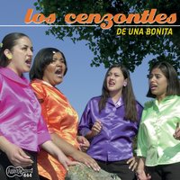 Espinita (Little Thorn) - Los Cenzontles
