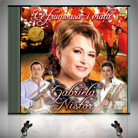 Nu este pe lume avere - Gabriela Nistor & Ovidiu Nistor & Florin Ionas Generalul