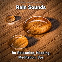 Rain Sounds for Relaxation Pt. 12 - Nature Sounds & Rain Sounds & Regengeräusche
