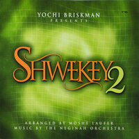 Ranenu - Yaakov Shwekey