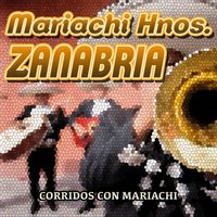 El Alazan y el Rosillo - Mariachi Hermanos Zanabria