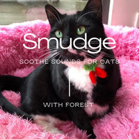 Smudge - Forest