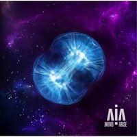 Magnets - Invivo
