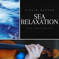 Tender Remains - Violin Nature