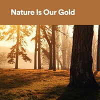 Without Breath - Sonidos De La Naturaleza