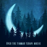 Musikhemterapi - Avslappning Musik Akademi