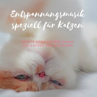 Verwöhnen Sie Ihr Haustier - Entspannung Tribe