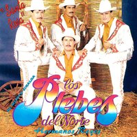 Como Ayer - Los Plebes Del Norte