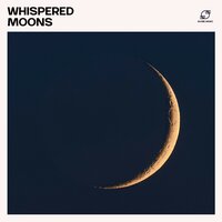 Sleep Music Playlist - Restful Sleep Music Collection & Deep Sleep Music & Sleep Music Relaxation & Ultimate Sleep Music Zone