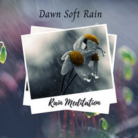February Rain - ASMR Rain Sounds & Relaxing Guru & Study Music & Sounds