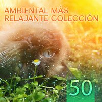 Serenidad - Relajante Academia de Música Zen