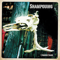 Car wash - Shampouing