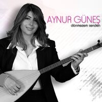 Ulu Yol Üstünde - Aynur Güneş