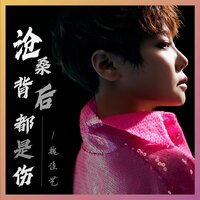 沧桑背后都是伤 - 魏佳艺