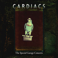 A Cake For Bertie's Party - Cardiacs