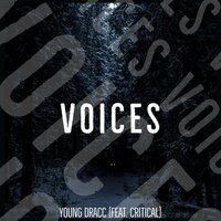 VOICES - YOUNG DRACC & Critical