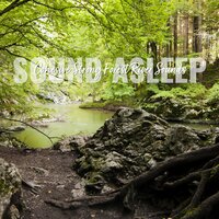 Cohesive Strong Forest River Sounds, Pt. 1 - Elijah Wagner