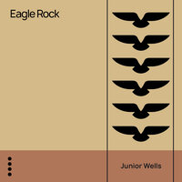 It Hurts Me Too - Junior Wells