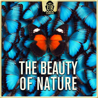 Happy Safari - Anselm Kreuzer & Markus Segschneider