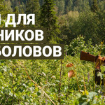Песни для охотников и рыболовов