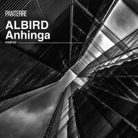 Killdeer - Albird