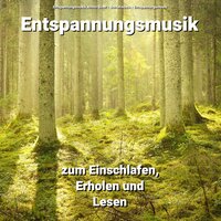 Wellness Musik bei den Sonnenblumen - Entspannungsmusik Armin Sindt & Schlafmusik & Entspannungsmusik