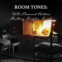 Well Preserved Historic Building Fireplace Sounds, Pt. 15 - Nowak Sommer