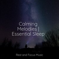 Dream Galaxy - Yoga Music & Spa Music Relaxation & Study Music & Sounds