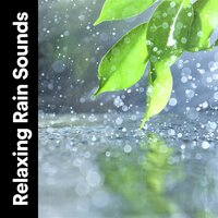 Raindrop Play - Rain Sounds for Relaxation