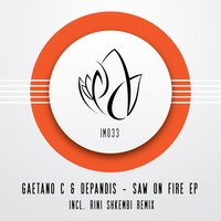 Forth Share - DePandis & Gaetano C