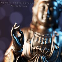 Нежный и крепкий сон - Азиатская музыка & Nature Sounds & Zen Meditate & Музыка для йоги & Meditation & Музыка для сна