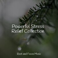 Sand and Sonatas - Kinderlieder Megastars & Baby Sleep & Deep Sleep Music Experience