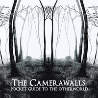 Ignore My Weakness, Don't Ignore Me - The Camerawalls